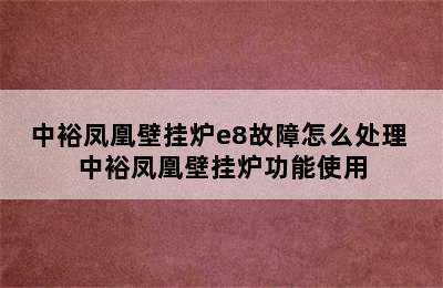 中裕凤凰壁挂炉e8故障怎么处理 中裕凤凰壁挂炉功能使用